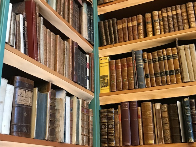 Fantastisk bokkänsla i Hagströmerbiblioteket